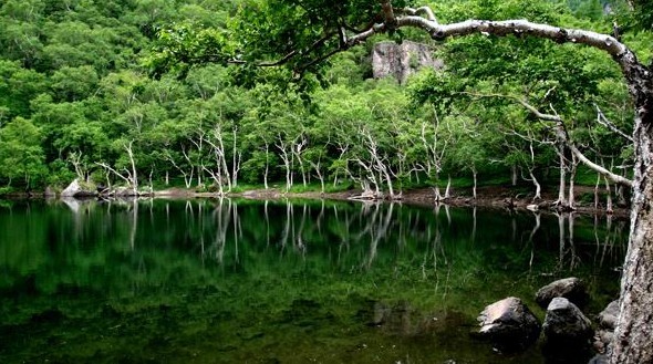 長白山西坡、十五道溝-望天鵝風景區雙飛4日