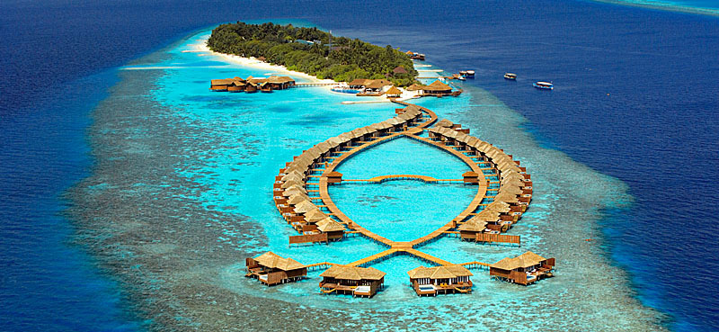 馬爾代夫--麗莉島 Lily Beach Resort【一價全包島】