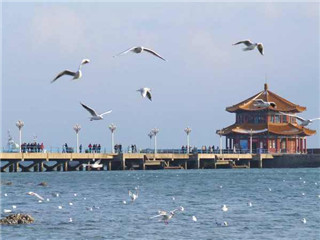 <strong><font color='#0000FF'>日照A線：青島、棧橋、日照、劉家灣趕海、竹洞</font></strong>