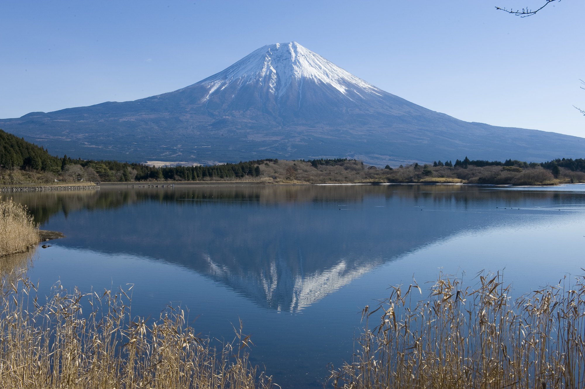 東京、箱根、京都、大阪6日**三大樂園の3~4星酒