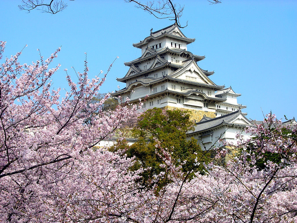 東京、箱根、大阪、京都、奈良6日~~大阪進東京