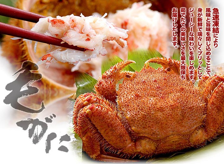 東京、箱根、大阪、京都、伊勢7日**4星美食純玩