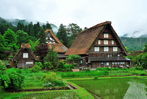 東京、箱根、大阪、京都、奈良、白川鄉、神戶