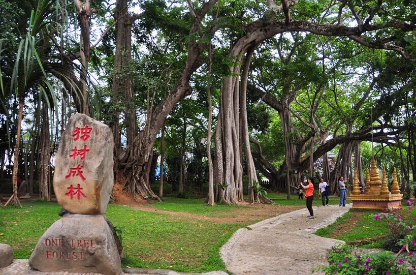 大理、騰沖、芒市雙飛6日